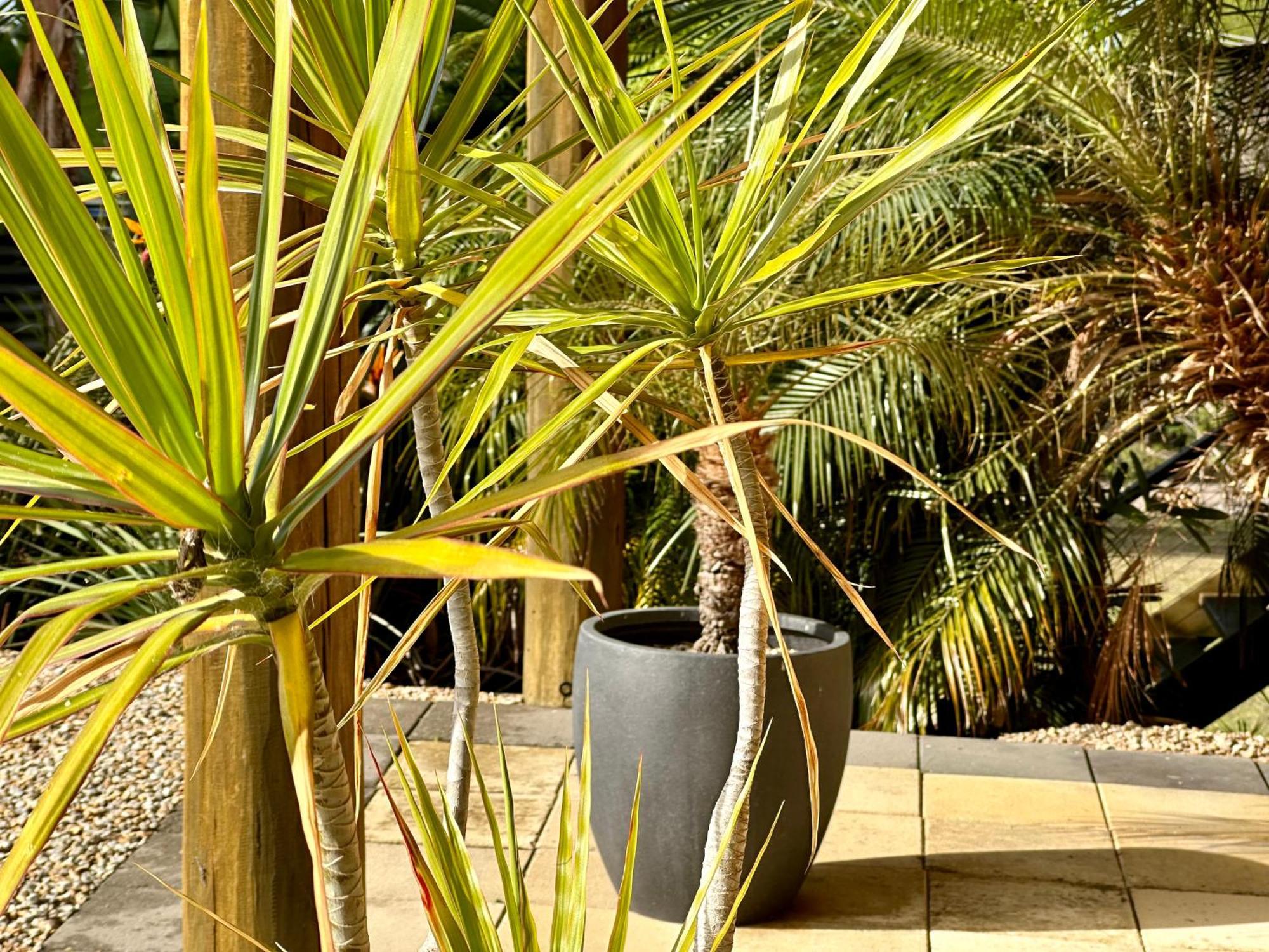 The Wave Oasis Sc B&B Mallacoota Kültér fotó